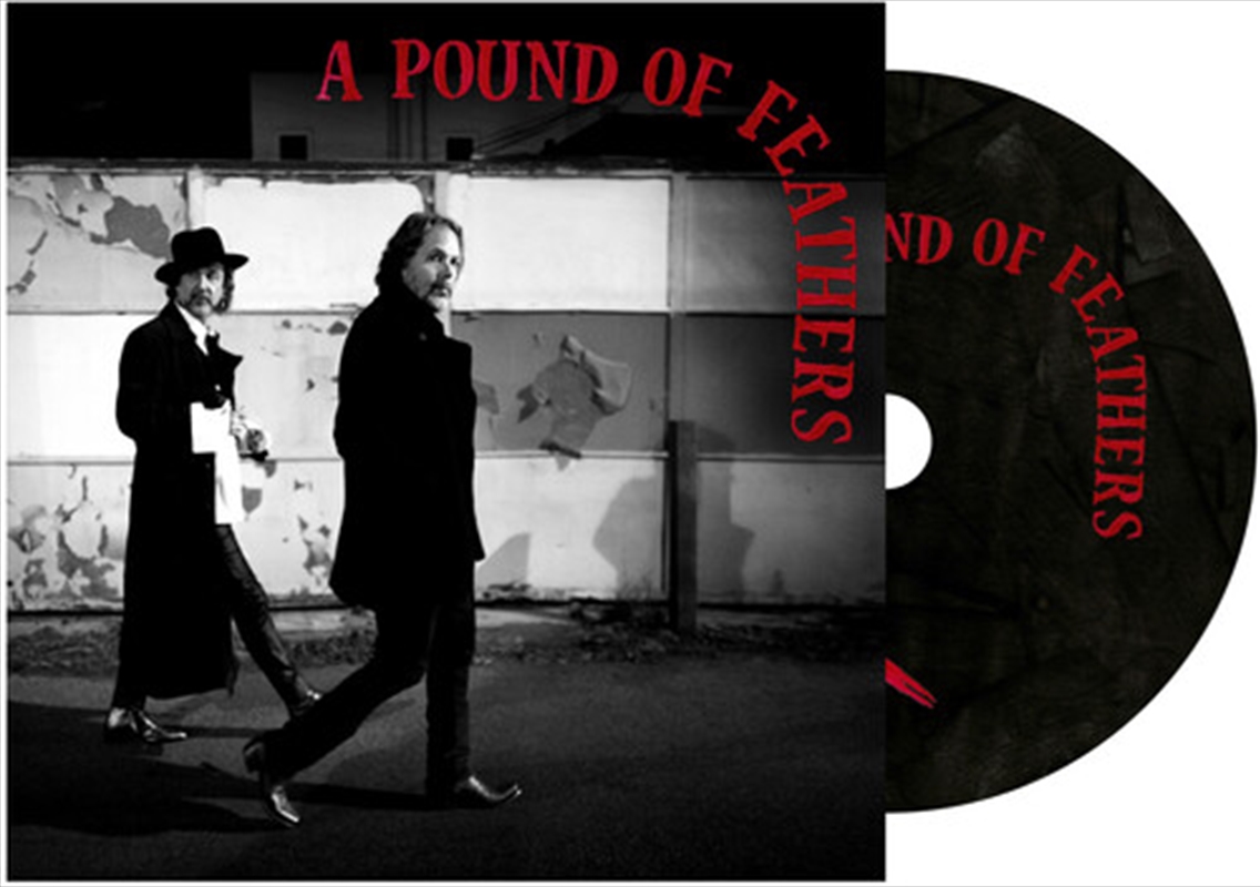 Pound Of Feathers/Product Detail/Rock/Pop