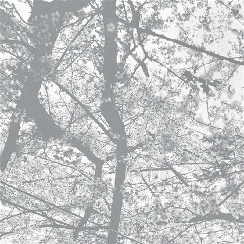 Obliteration Bliss/Product Detail/Dance