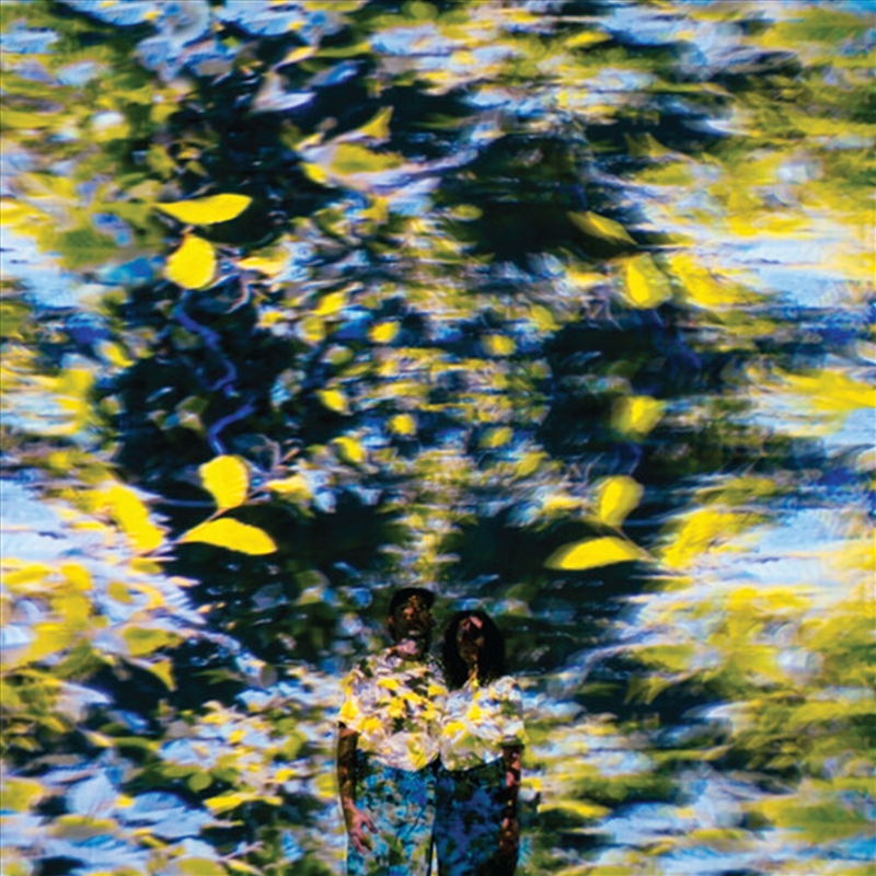 Labyrinthe/Product Detail/Rock/Pop