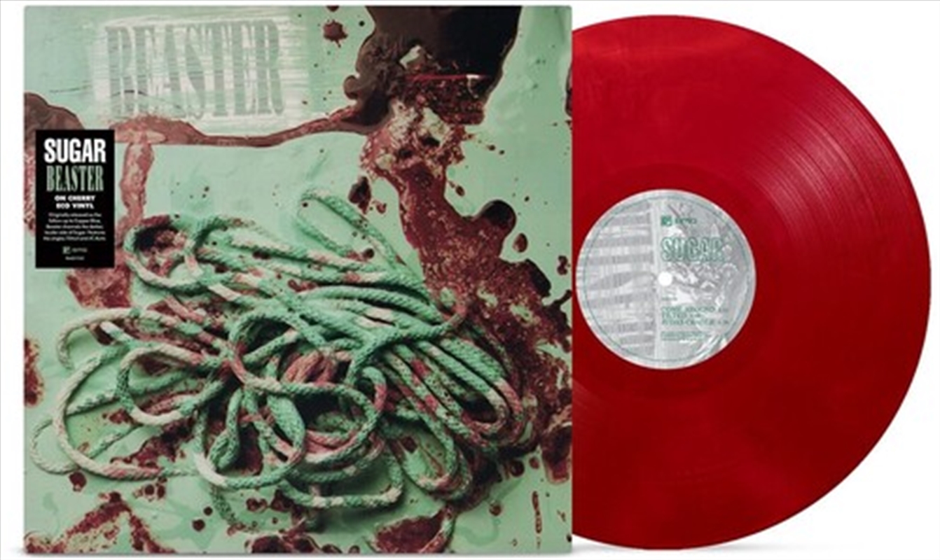 Beaster/Product Detail/Rock/Pop