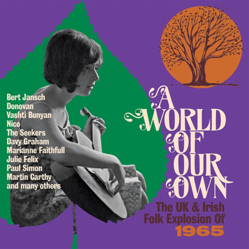 World Of Our Own: Uk & Irish Folk Explosion Of 65/Product Detail/Blues