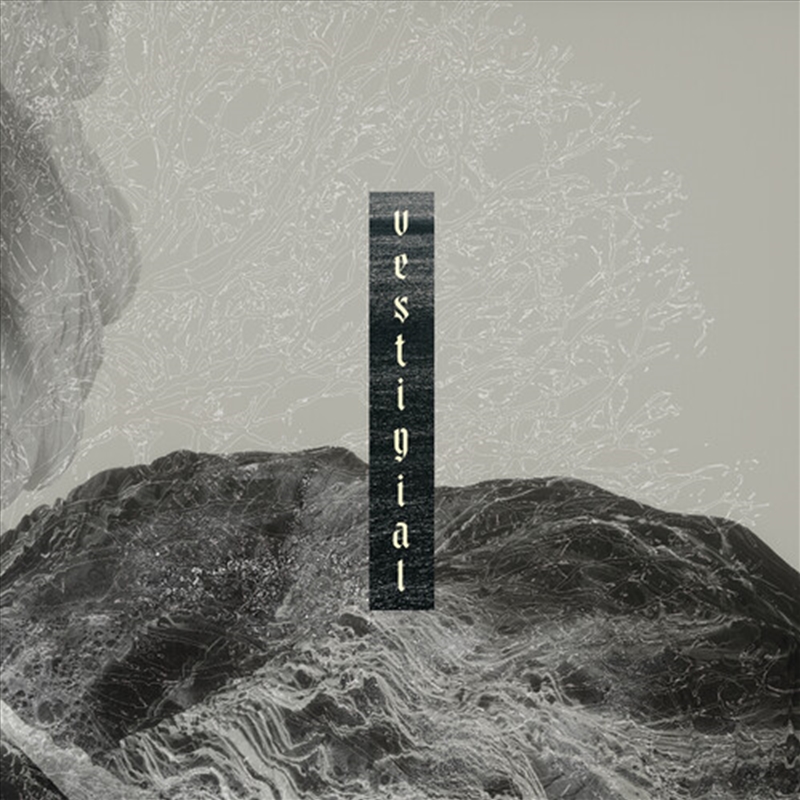 Descending Vastness/Product Detail/Specialist