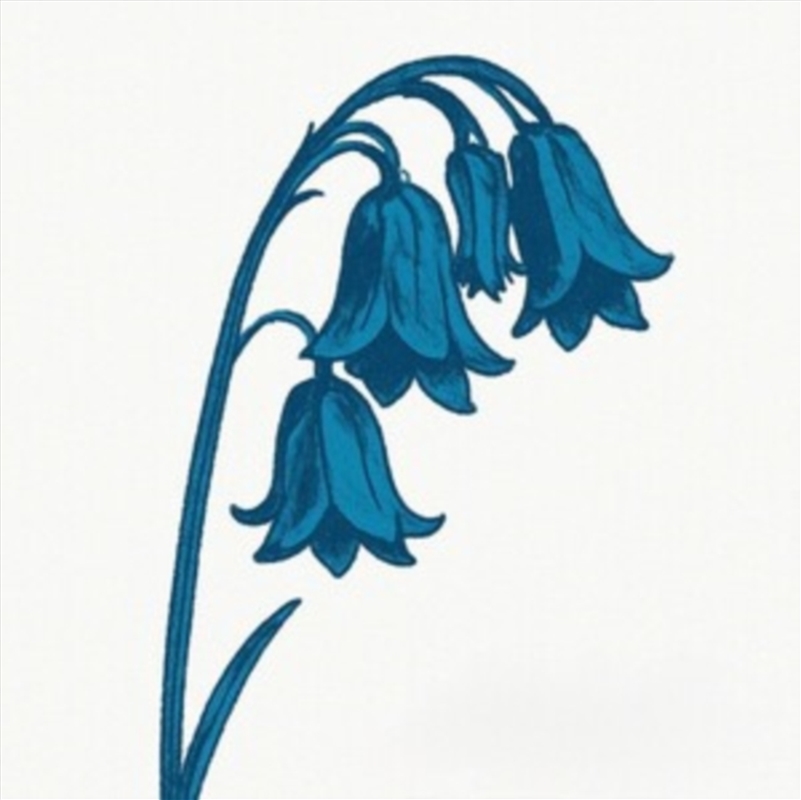 This Is The Bluebells - Bluebell Blue Vinyl/Product Detail/Alternative