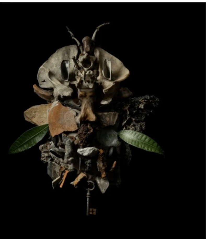 Displaces/Product Detail/Dance