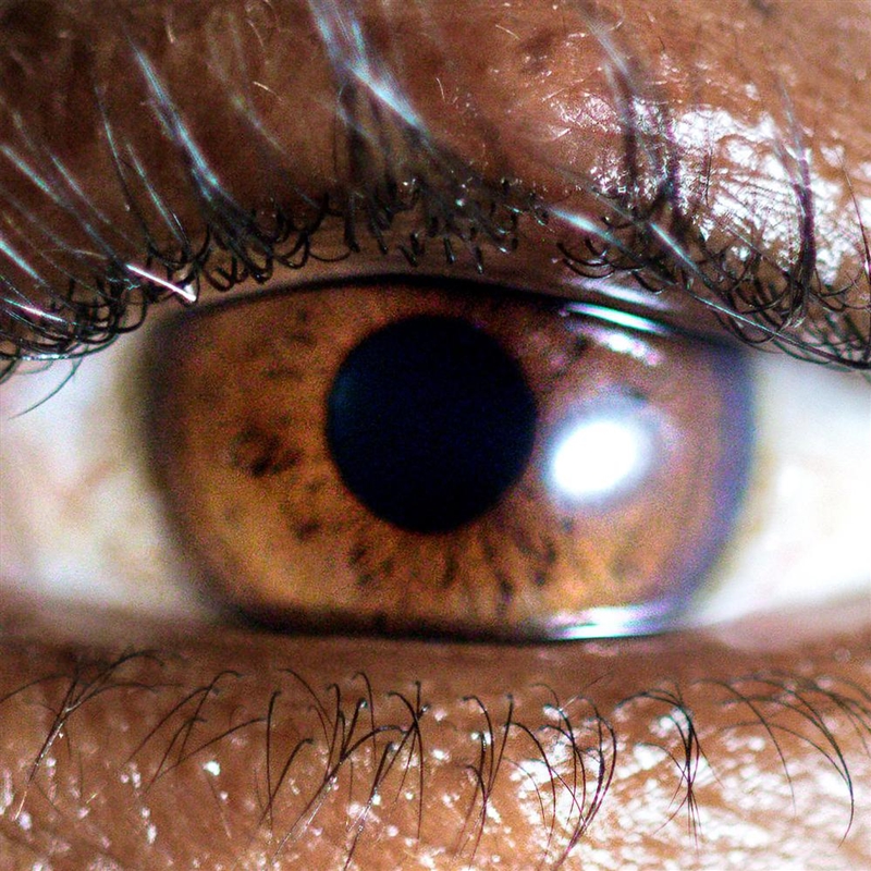 It's Dreaming - White Vinyl/Product Detail/R&B