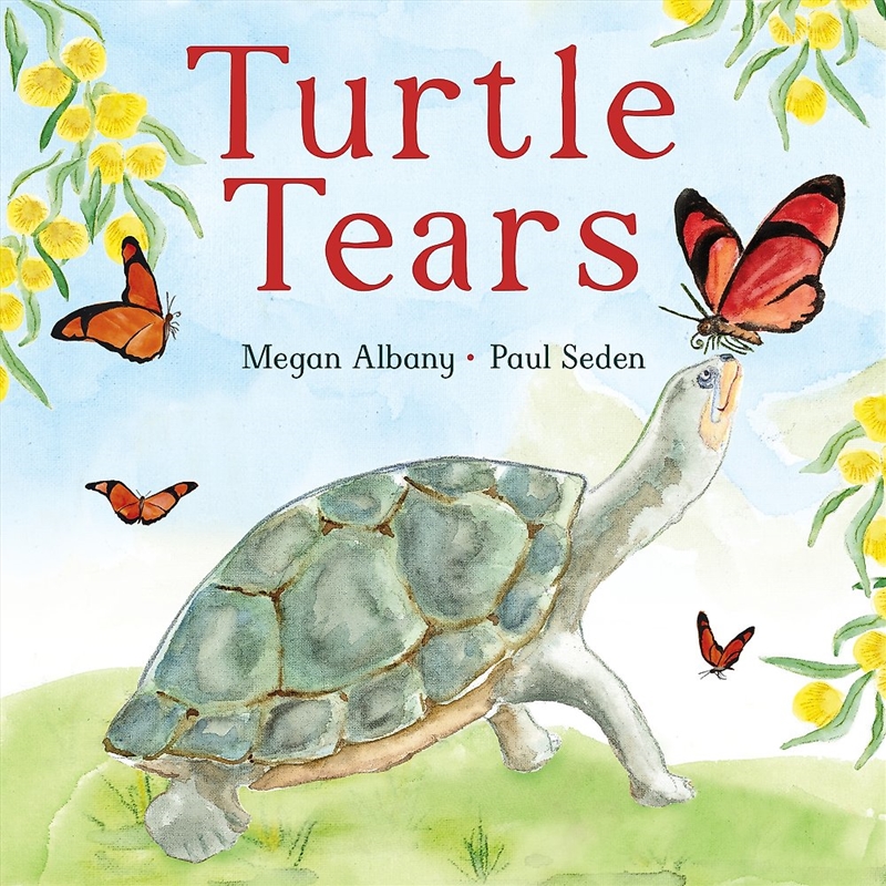 Turtle Tears/Product Detail/Early Childhood Fiction Books