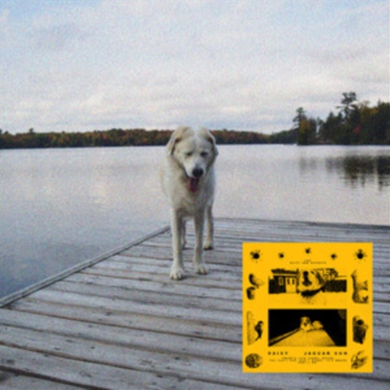 Daisy/Product Detail/Rock/Pop