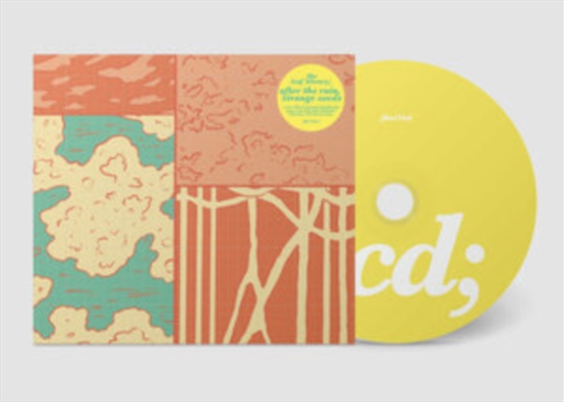 After The Rain / Strange Seeds/Product Detail/Rock/Pop