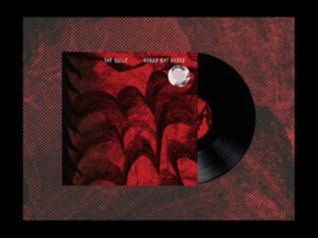 Naked Rat Dance/Product Detail/Alternative