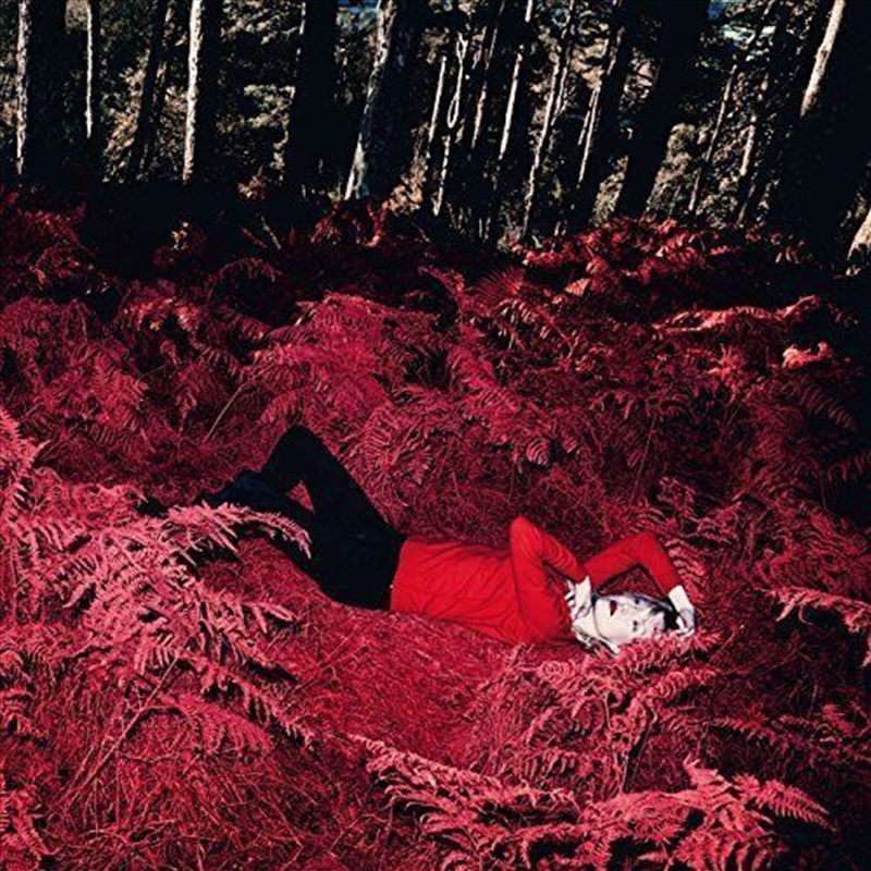 Slipstream/Product Detail/Rock/Pop