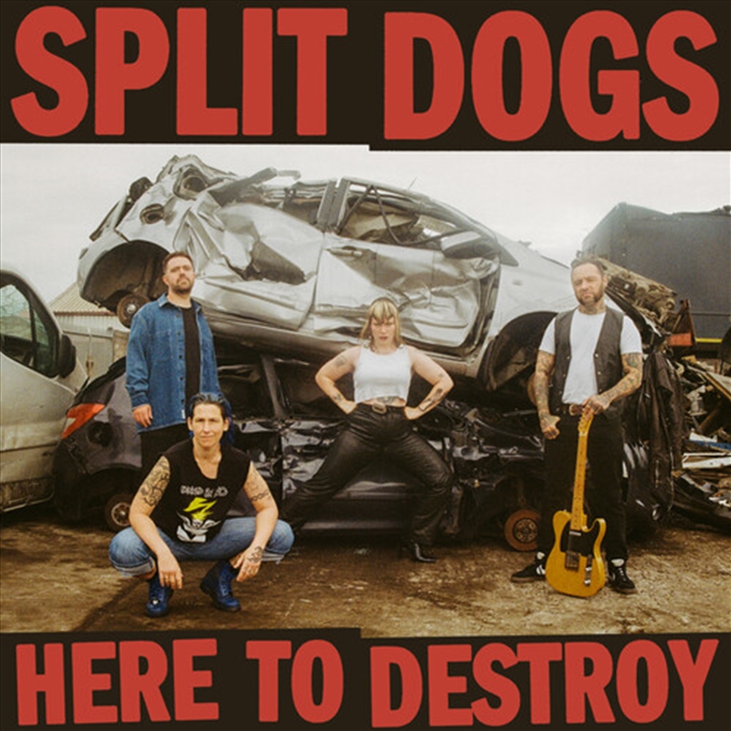 Here To Destroy - Red & Black Splatter Vinyl/Product Detail/Rock/Pop