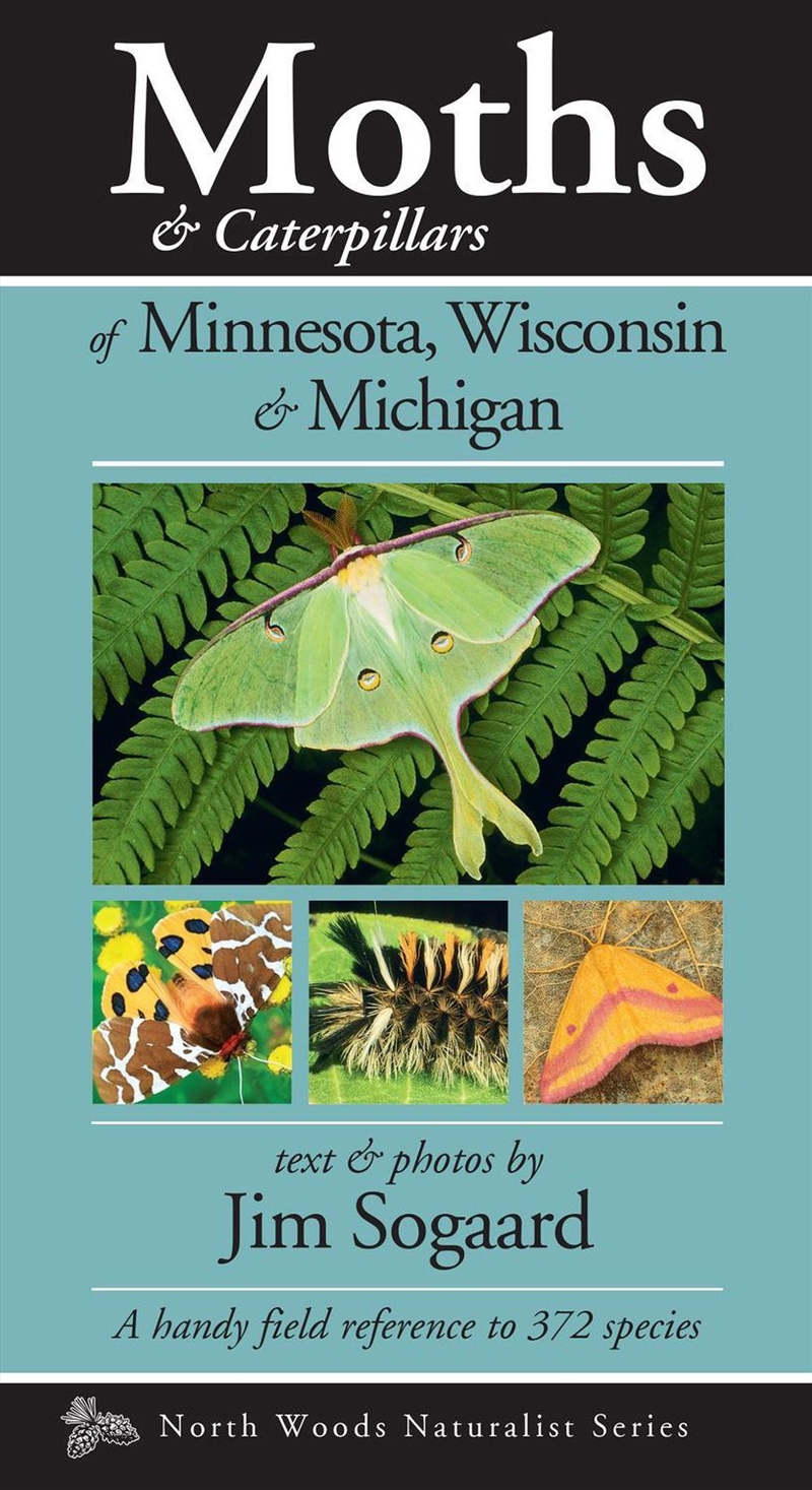 Moths & Caterpillars of Minnesota, Wisconsin & Michigan/Product Detail/Animals & Nature