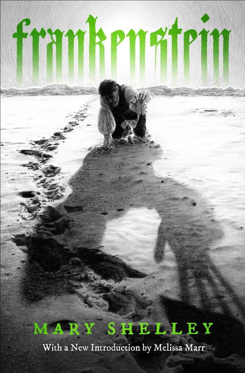 Frankenstein/Product Detail/General Fiction Books