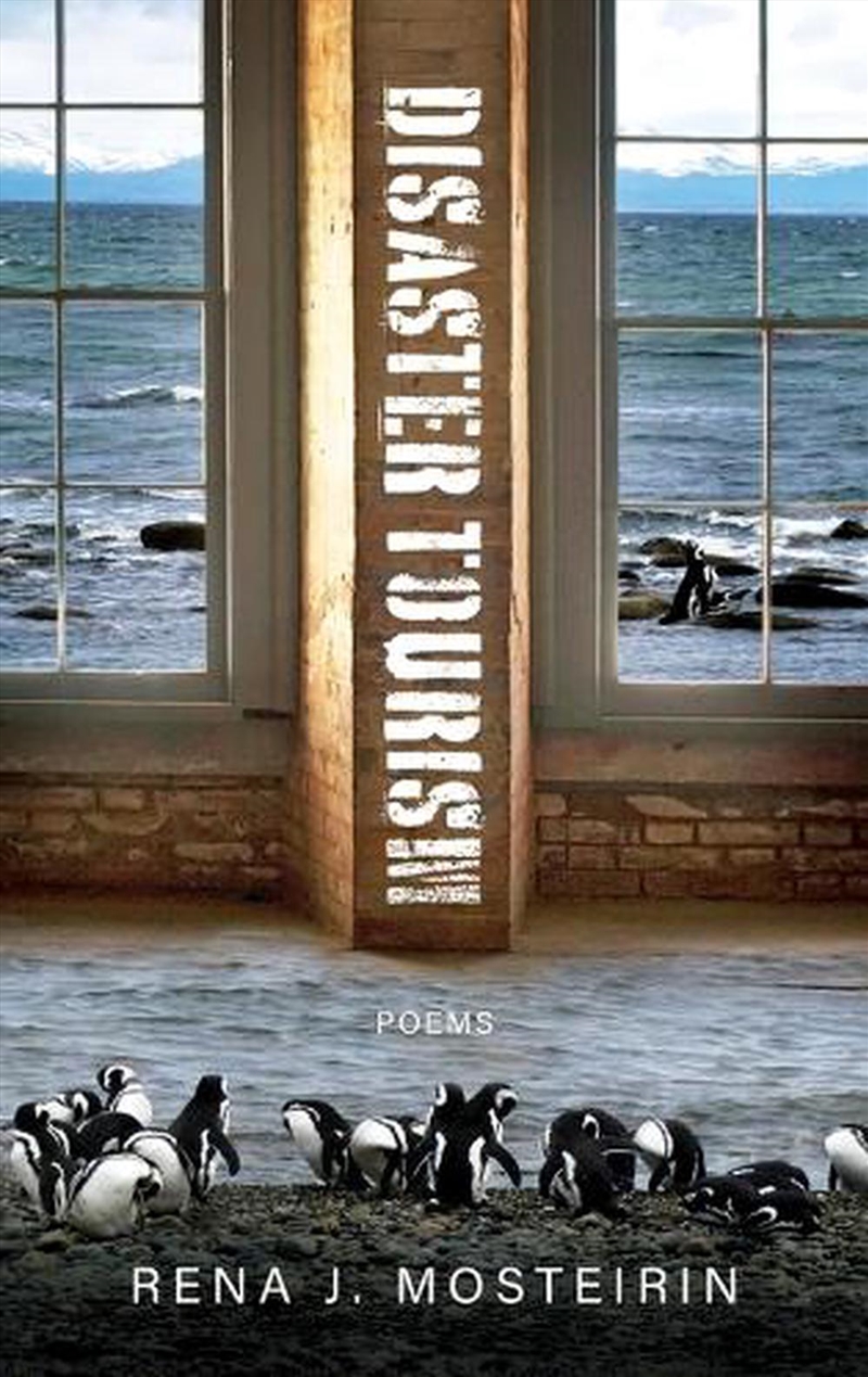 Disaster Tourism/Product Detail/Reading