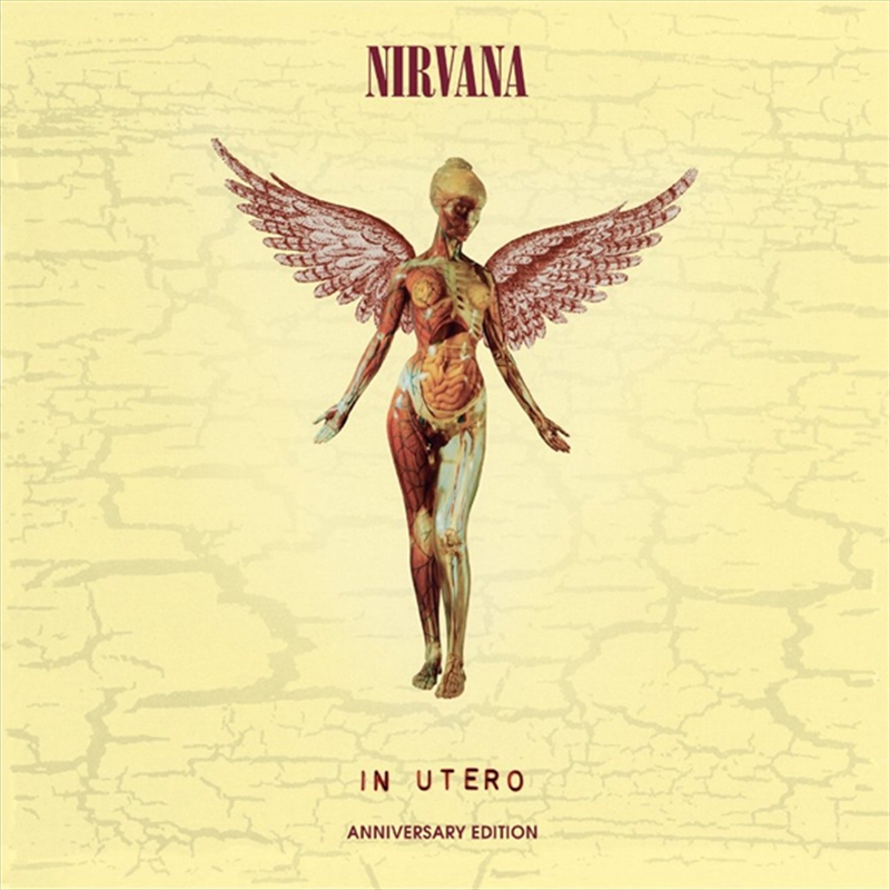 In Utero: 20th Anniversary (Deluxe Edition)/Product Detail/Hard Rock