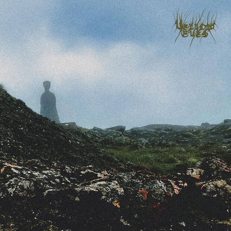 Confusion Gate/Product Detail/Rock/Pop