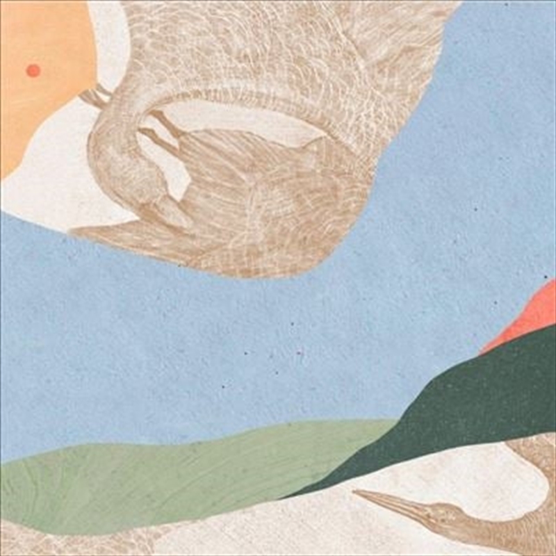 Ilhada/Product Detail/Rock/Pop