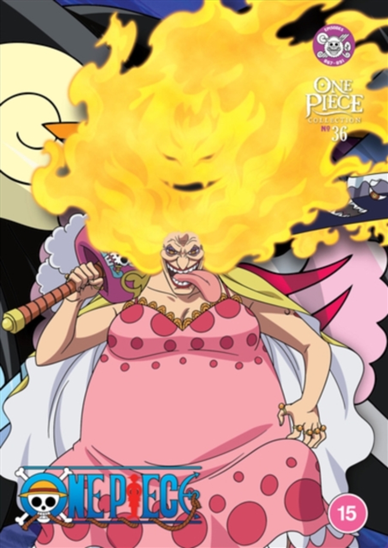 One Piece Collection 36 (REGION 2)/Product Detail/Anime