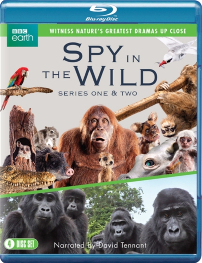 Spy in the Wild - Series 1 to 2/Product Detail/Documentary