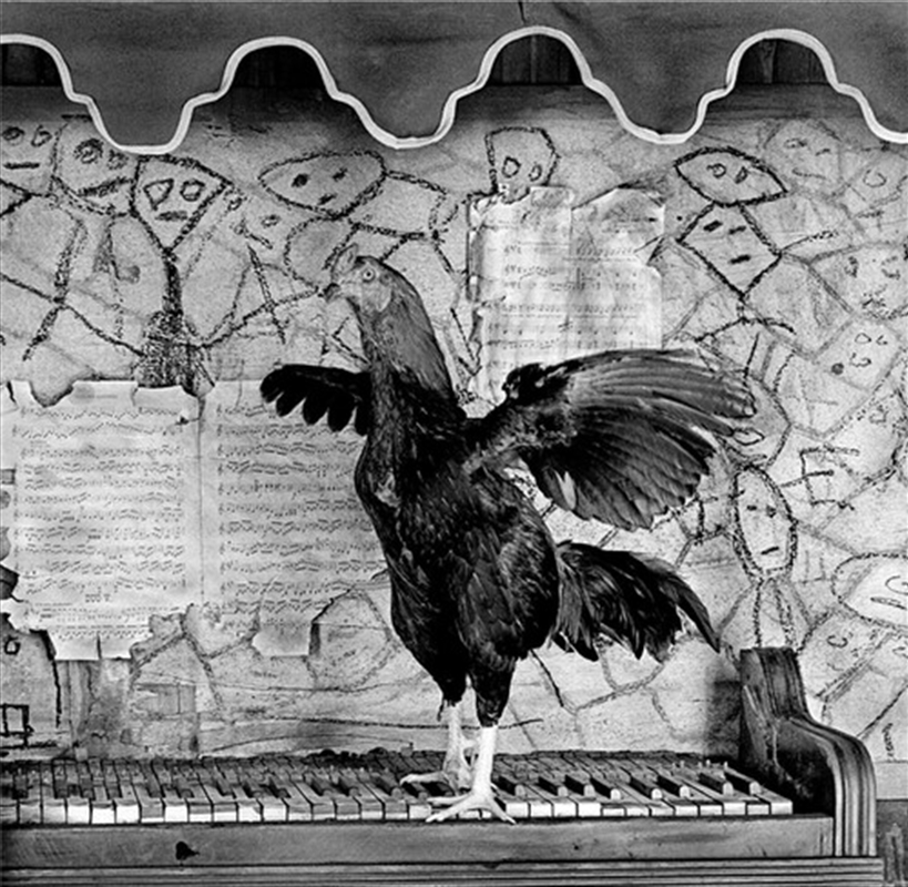 Gravol/Product Detail/Rock/Pop