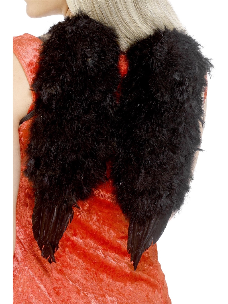 Angel Wings, Black - Adult/Product Detail/Costumes
