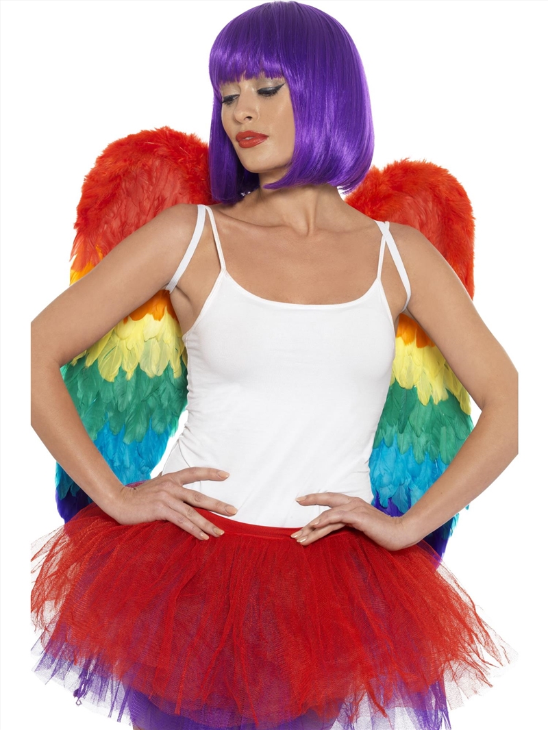 Feather Rainbow Wings, Adult/Product Detail/Costumes