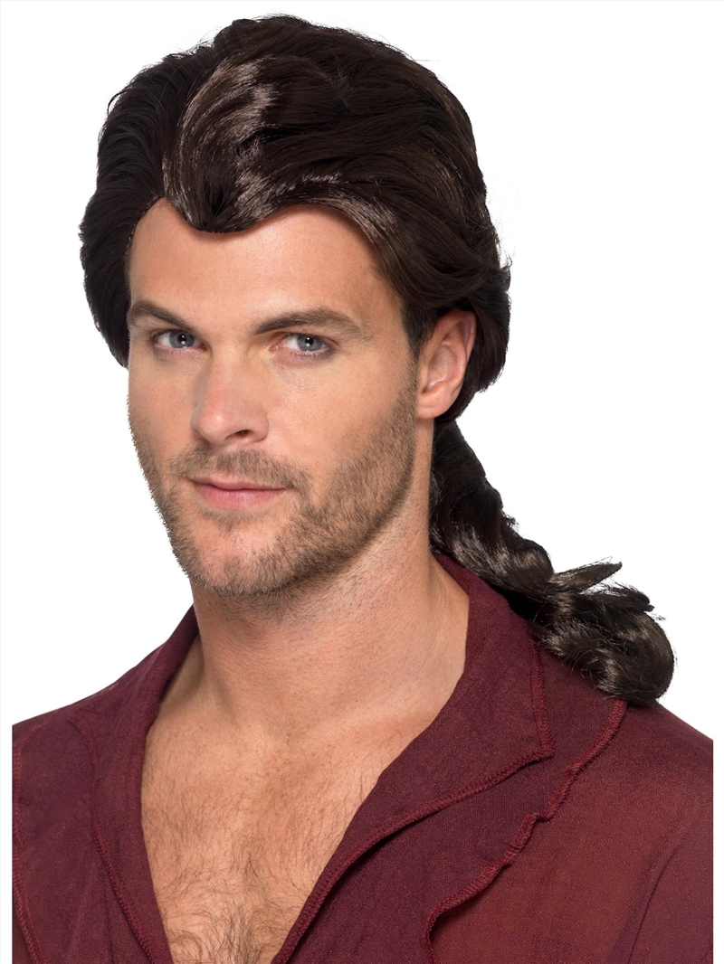 Marauder Pirate Wig, Adult/Product Detail/Costumes