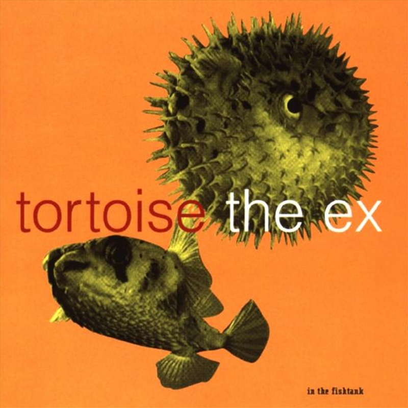 In The Fishtank/Product Detail/Rock/Pop