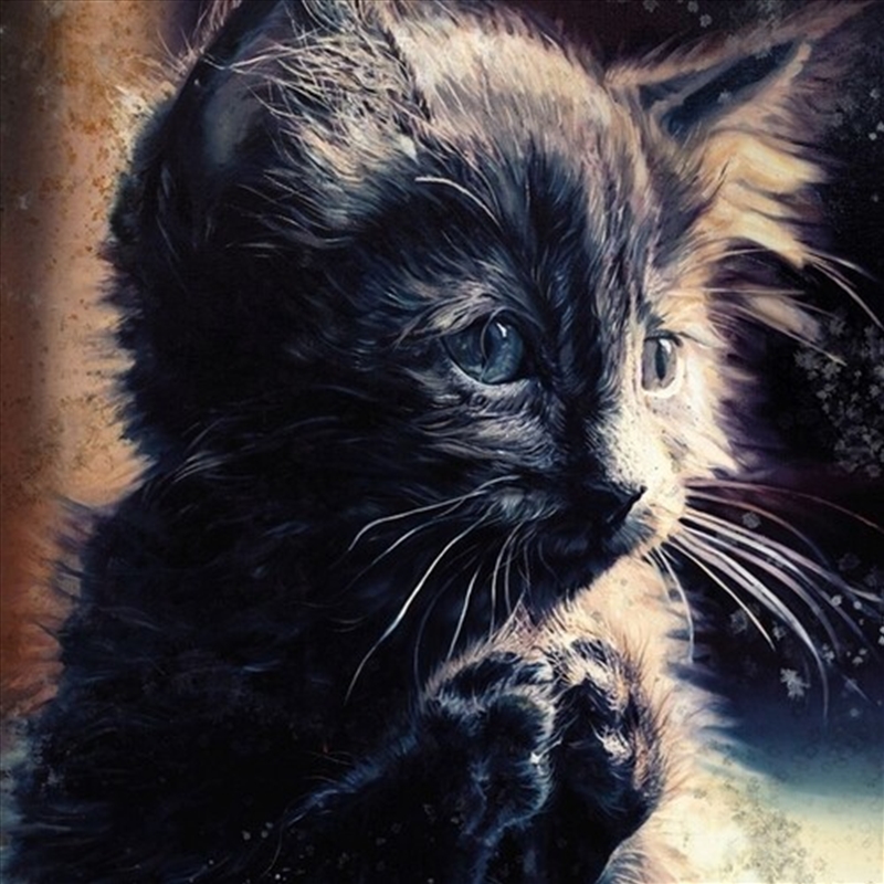 Pussy Disco/Product Detail/Specialist