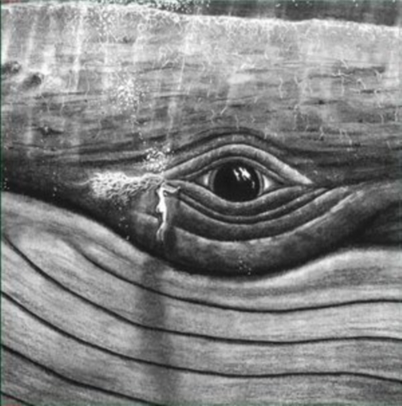 While I Sit & Watch This Tree Vol 1/Product Detail/Rock/Pop