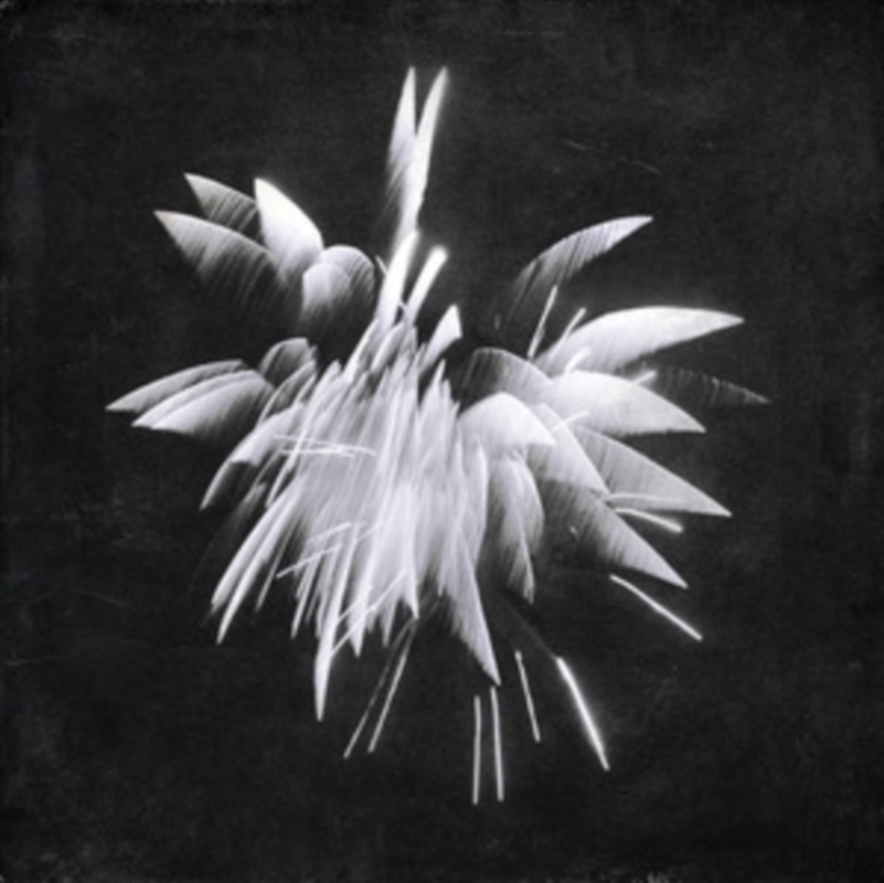 New Morning Howl/Product Detail/Rock/Pop
