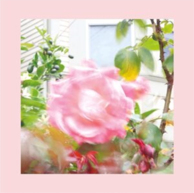 Summer At Land's End/Product Detail/Rock/Pop