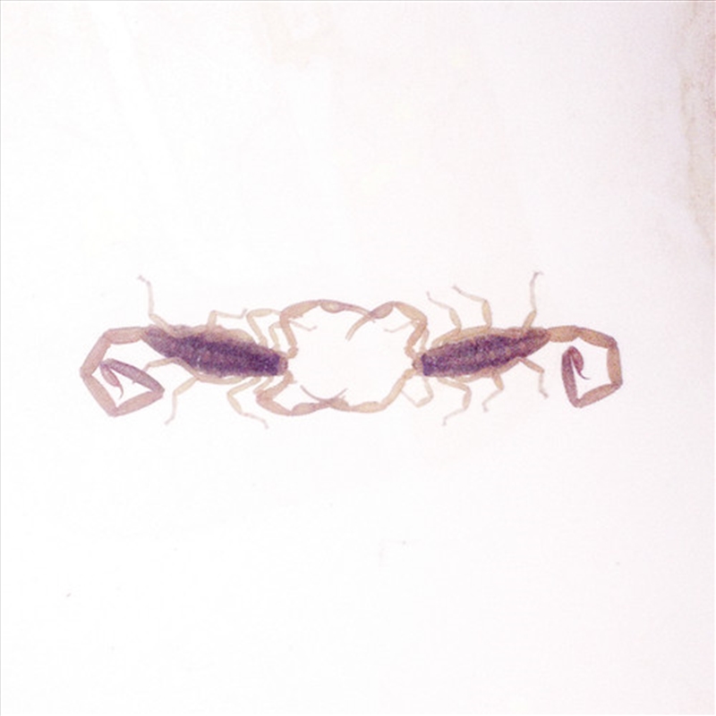 Wabi Sabi/Product Detail/Rock/Pop