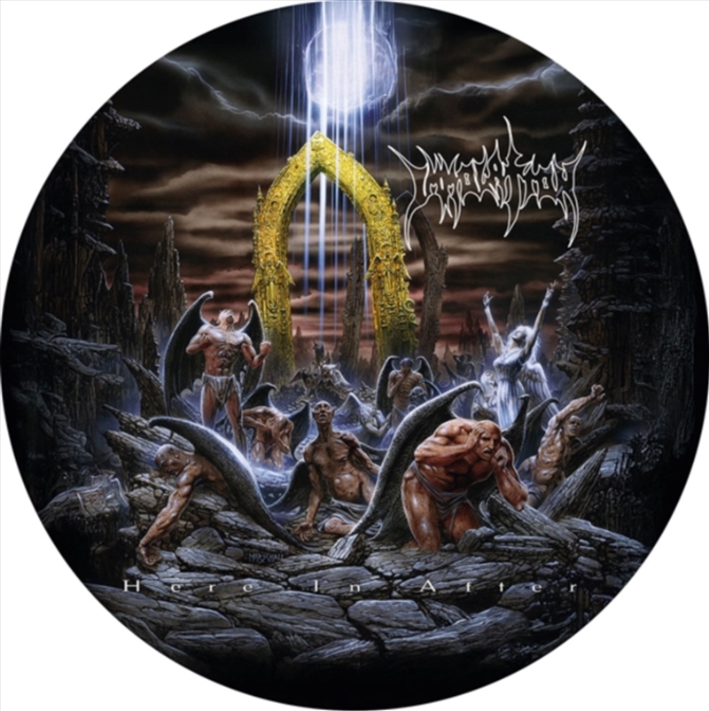 Here In After - Picture Disc Vinyl/Product Detail/Metal