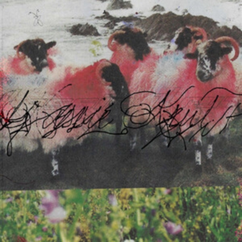 Kassie Krut: Deluxe Edition/Product Detail/Dance