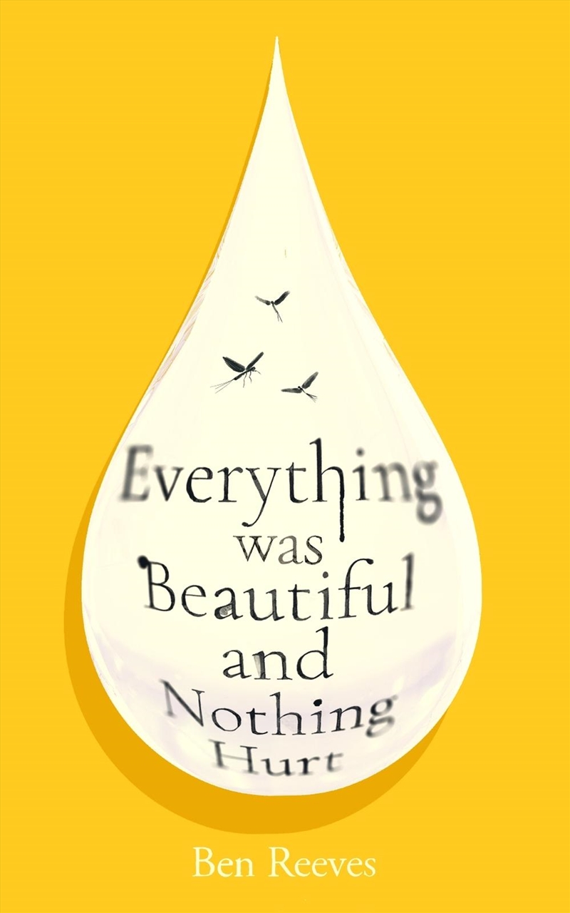 Everything was Beautiful and Nothing Hurt/Product Detail/Fantasy Fiction