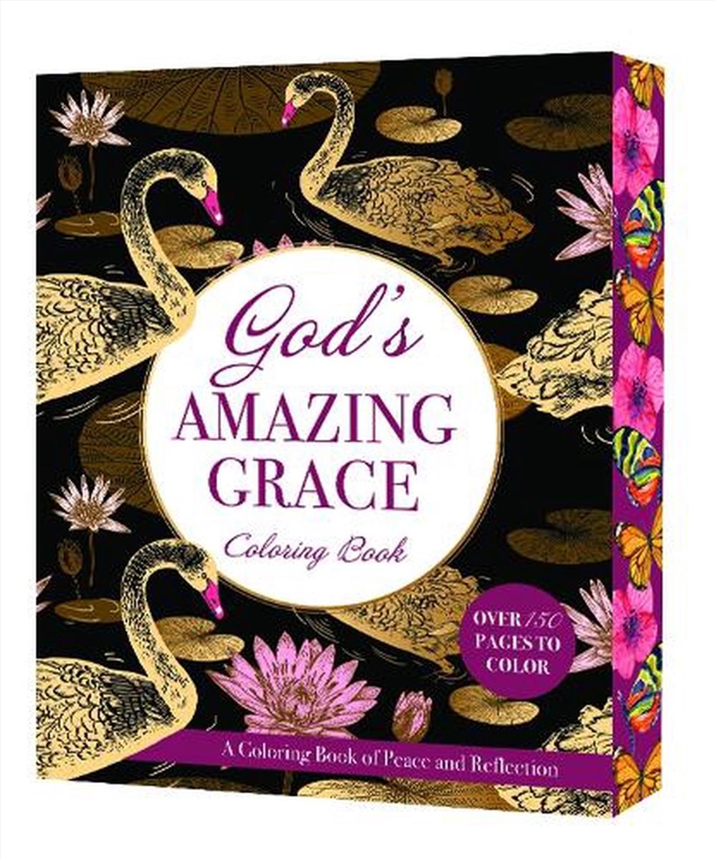 God's Amazing Grace/Product Detail/Religion & Beliefs
