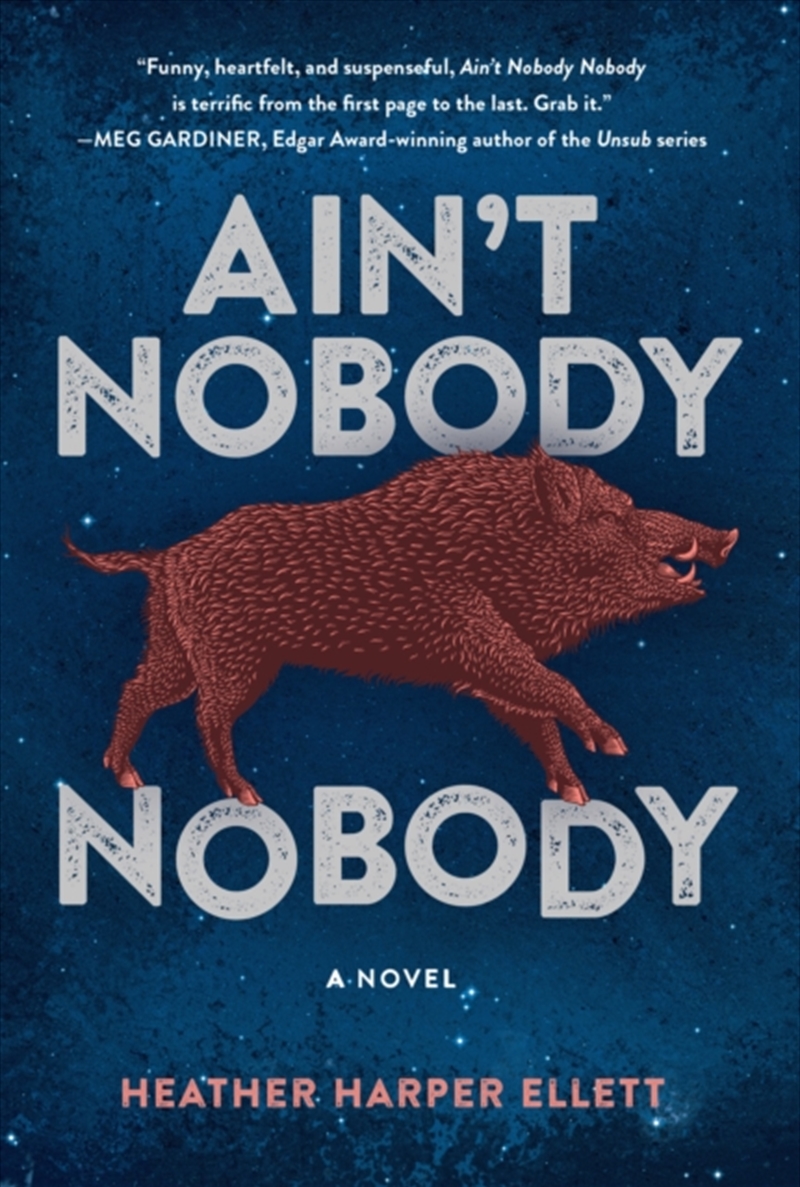 Ain't Nobody, Nobody/Product Detail/Thrillers & Horror Books