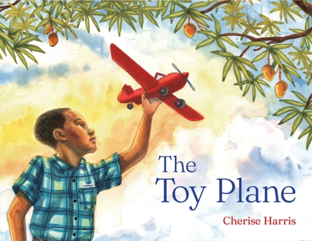 The Toy Plane/Product Detail/Early Childhood Fiction Books