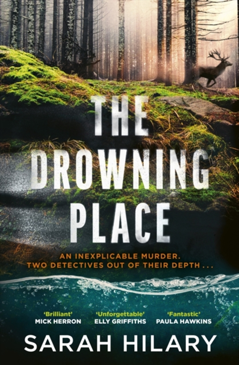 The Drowning Place/Product Detail/Thrillers & Horror Books