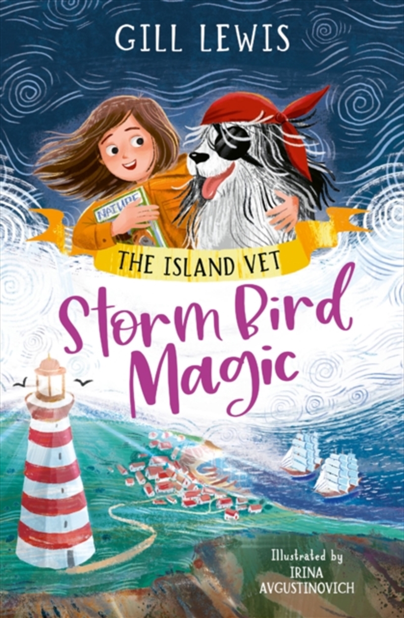 Storm Bird Magic/Product Detail/Childrens Fiction Books