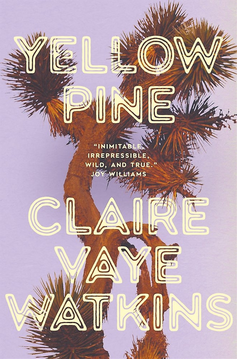 Yellow Pine/Product Detail/Modern & Contemporary