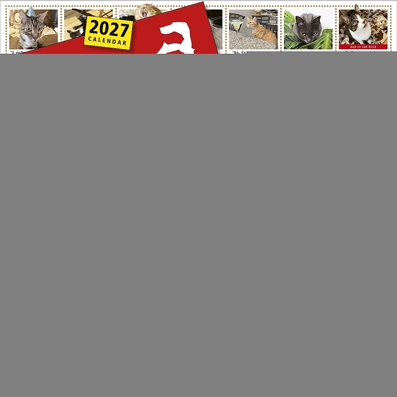 Bad Cat Wall Calendar 2027/Product Detail/Comedy