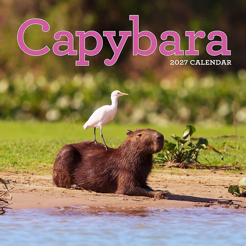 Capybara Wall Calendar 2027/Product Detail/Animals & Nature
