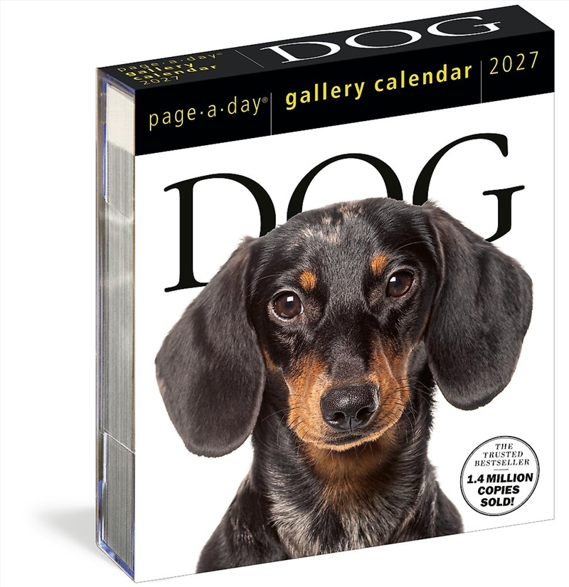 Dog Page-A-Day Gallery Calendar 2027/Product Detail/Animals & Nature