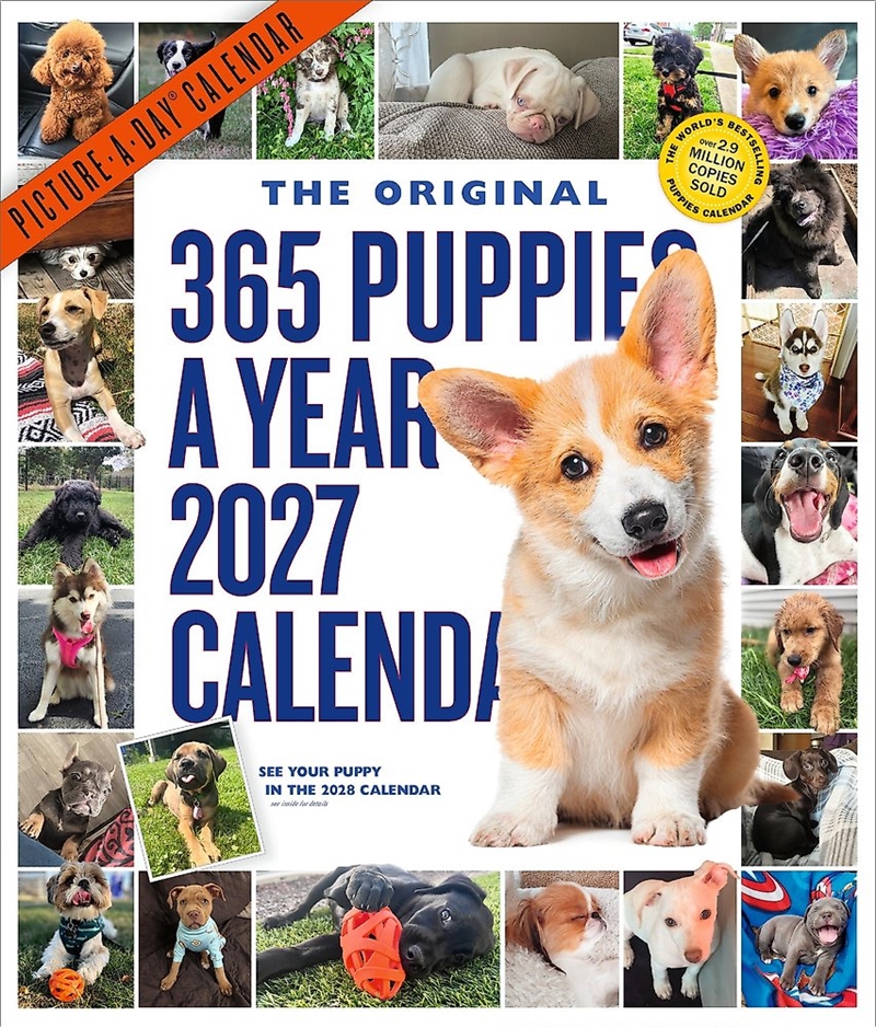 365 Puppies-A-Year Picture-A-Day Wall Calendar 2027/Product Detail/Animals & Nature
