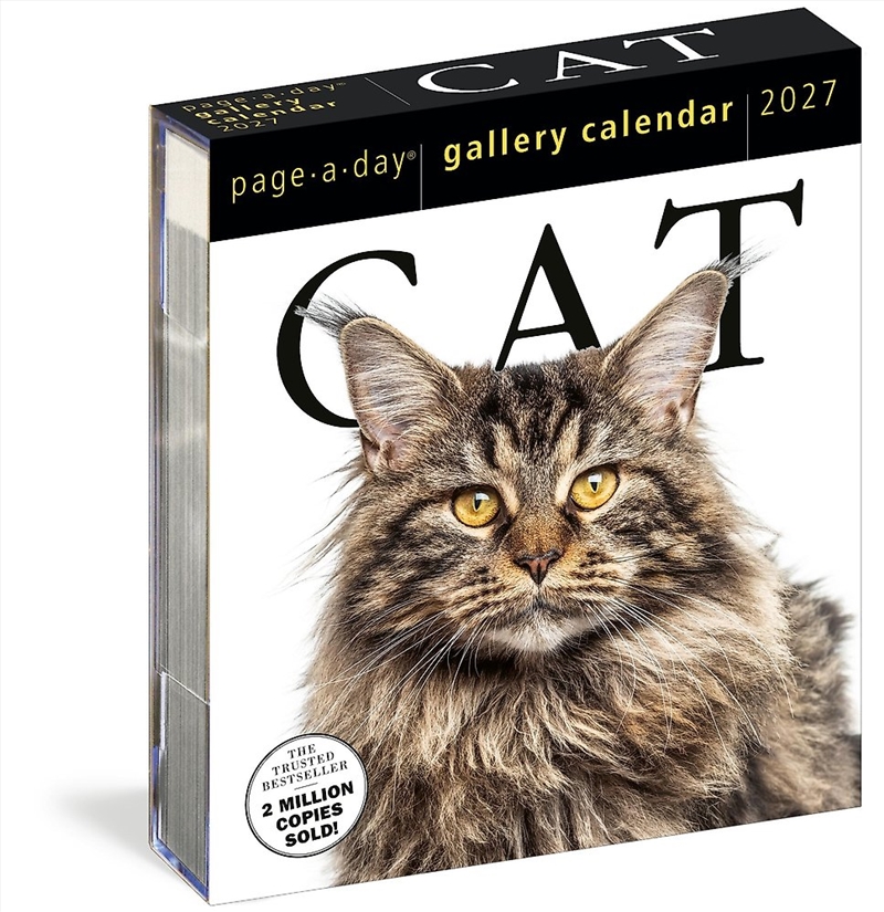 Cat Page-A-Day Gallery Calendar 2027/Product Detail/Animals & Nature
