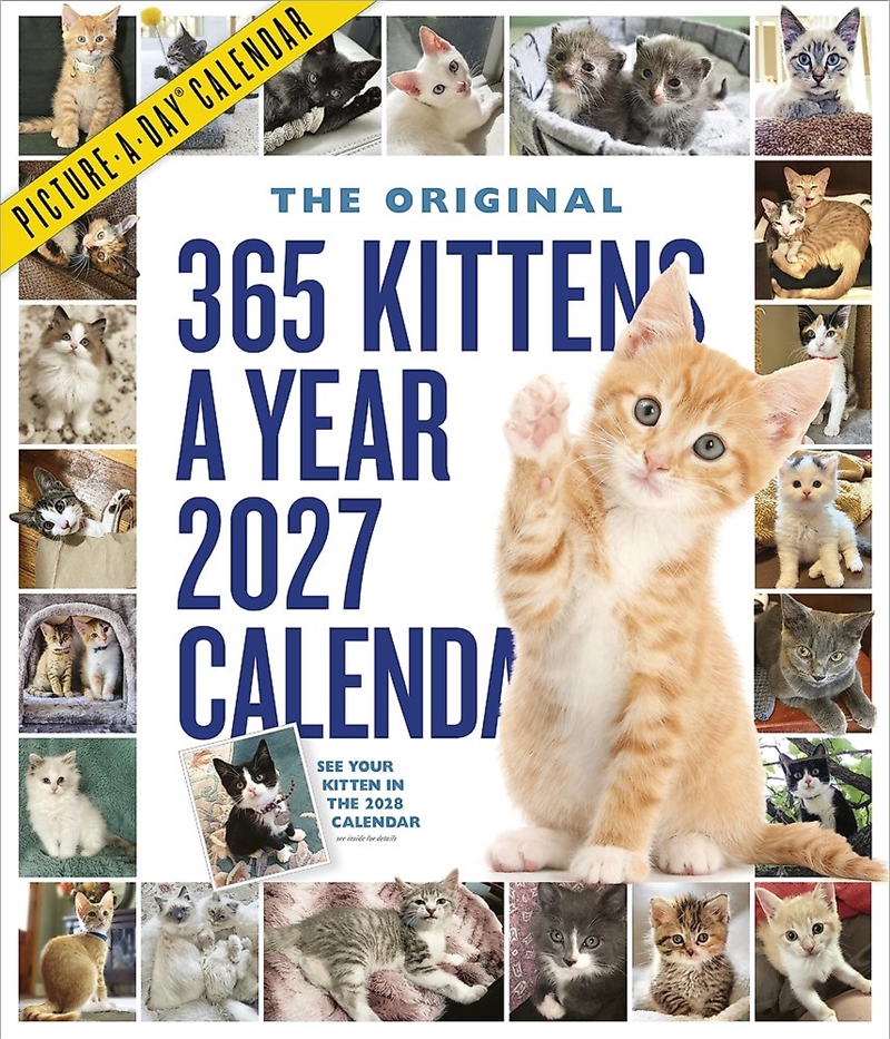 365 Kittens-A-Year Picture-A-Day Wall Calendar 2027/Product Detail/Animals & Nature