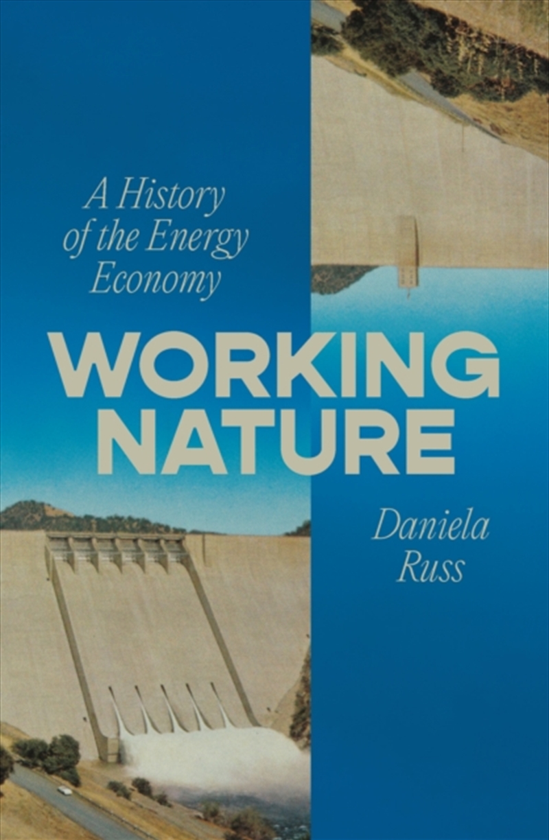 Working Nature : A History of the Energy Economy/Product Detail/History