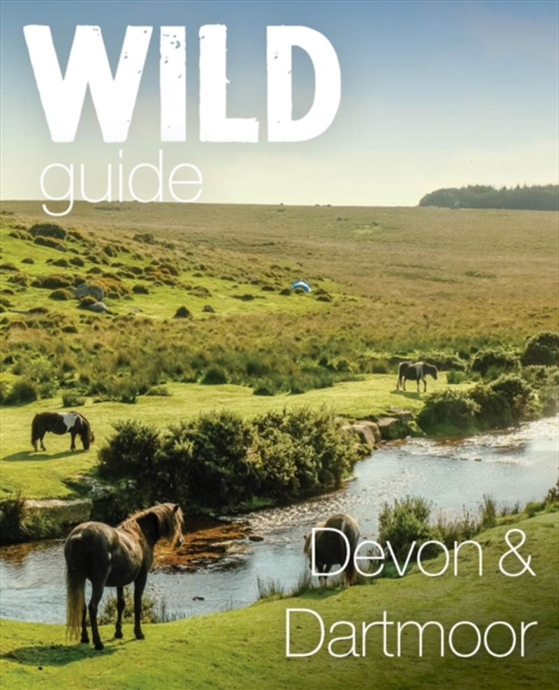 Wild Guide Devon & Dartmoor : Mini adventures, secret places & local food/Product Detail/Travel & Holidays